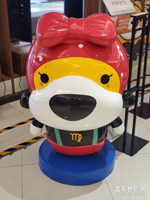 随手拍