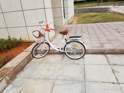 随行
