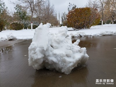 【瑰丽时分】+北国初雪