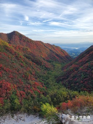 漫山遍野都是红叶秋意盎然