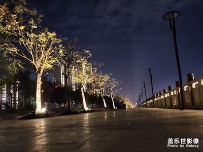夜