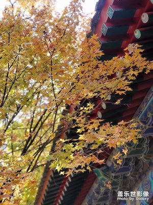 秋季香山