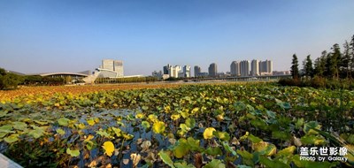 夕阳下的明月湖