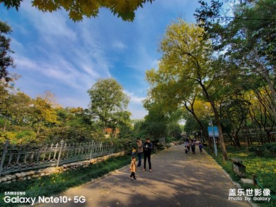 周末的泉城广场
