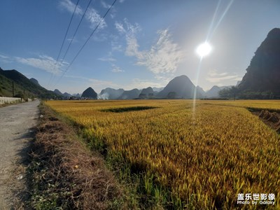 绿水青山就是金山银山