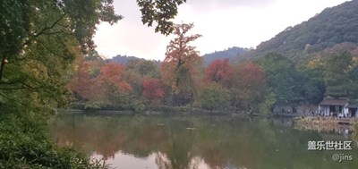 枫叶红于二月花，