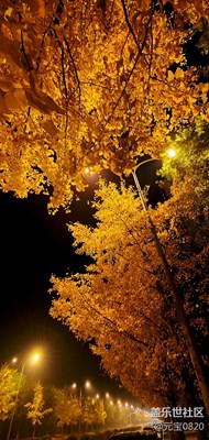 秋---夜---～