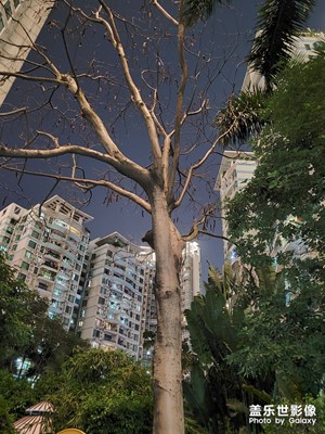 夜间模式小区花园