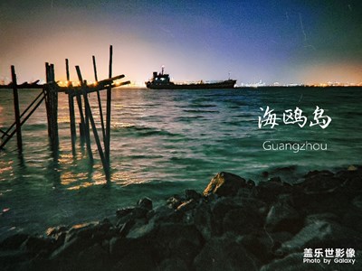 夜幕下的海鸥岛