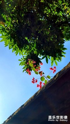 厦门