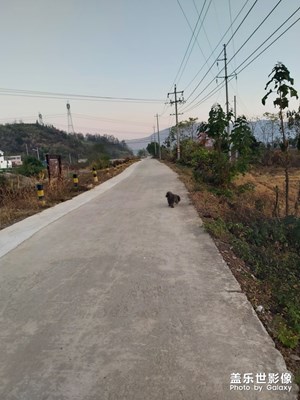乡村小路