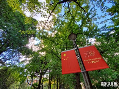 普通民众用三星note10+拍出来的照片怎么样？
