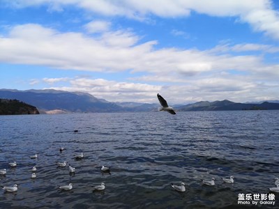 泸沽湖