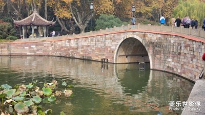 【享拍一刻】西湖一日游