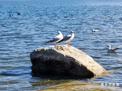 云南之行泸沽湖第三日