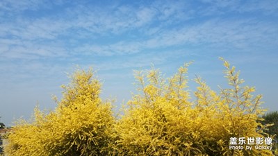 三星拍天空就是靓