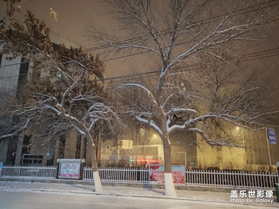 雪景