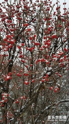 大同初雪