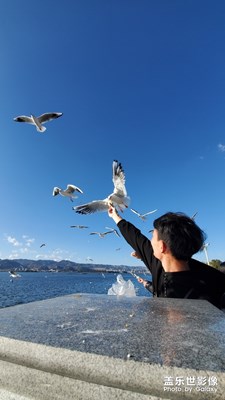 海埂大坝一日游