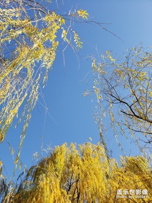 下课了，漂亮的风景