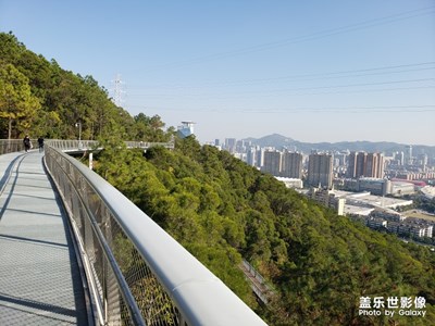 【2019最美瞬间】+厦门空中步道