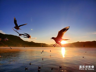 【2019最美瞬间】+丽江之行-完美的天气＆风景＆手机