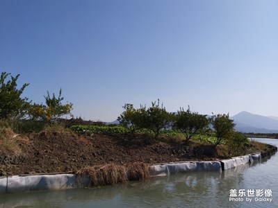 温州三垟湿地