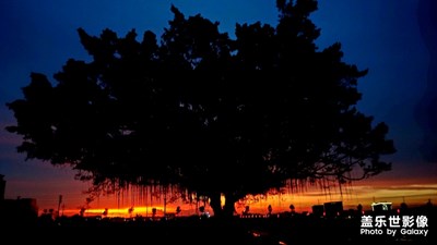 夕阳