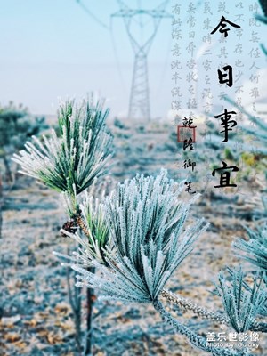 贰零壹九---初霜