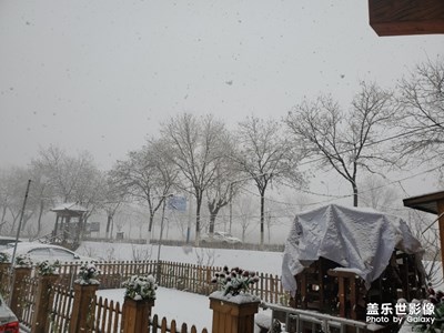 鹅毛大雪