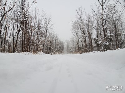 雪景