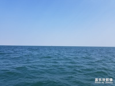 面朝大海.