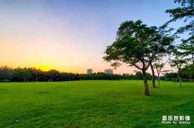 【2019最美瞬间】

夕阳下的草地