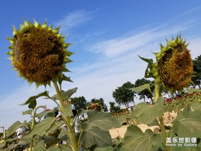 周末时光