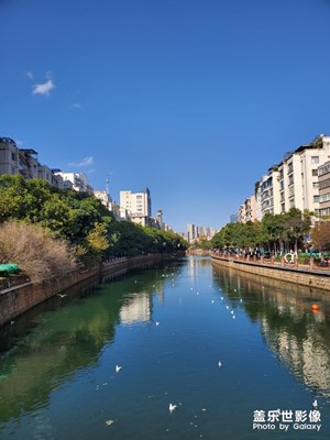 去税局办事，随手拍