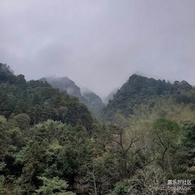 【2019最美瞬间】+三星S10