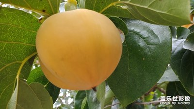 2019最美瞬间--家乡的美!