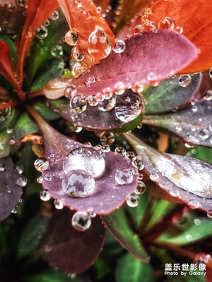 【2019最美瞬间】2019年的第一场雨