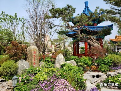 【2019最美瞬间】 世园花海