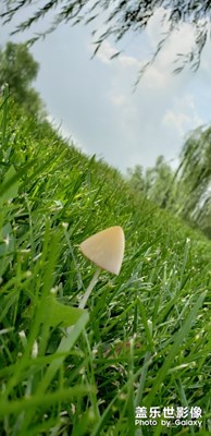 沈阳浑南莫子山