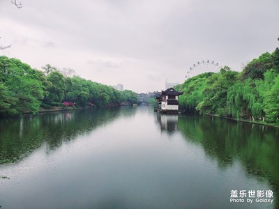 【2019最美瞬间】游·园景，风光无限美