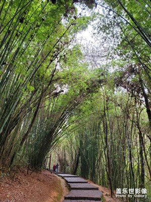 【双旦惊喜】+双节旅行随手拍