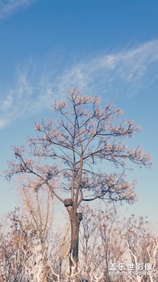 横屏的不一样