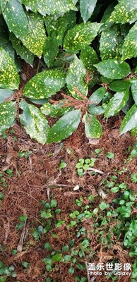 【2019最美瞬间】一个盐淡水公园