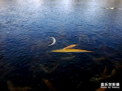 【2019最美瞬间】腊月
