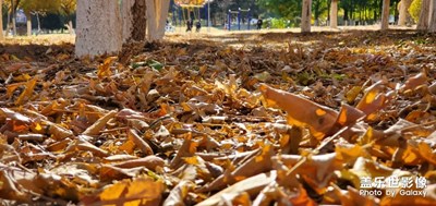 街景随手拍－辽宁朝阳