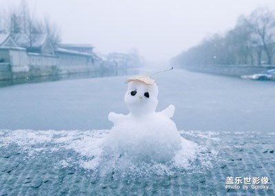 【双旦惊喜】2019年的雪景