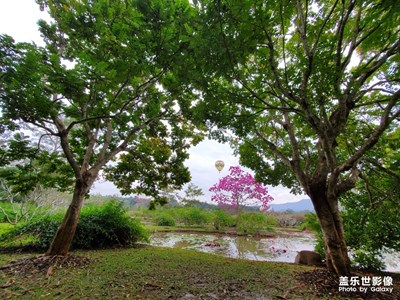 西双版纳热带植物园