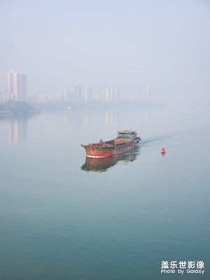 早晨的雾