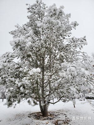 下雪啦